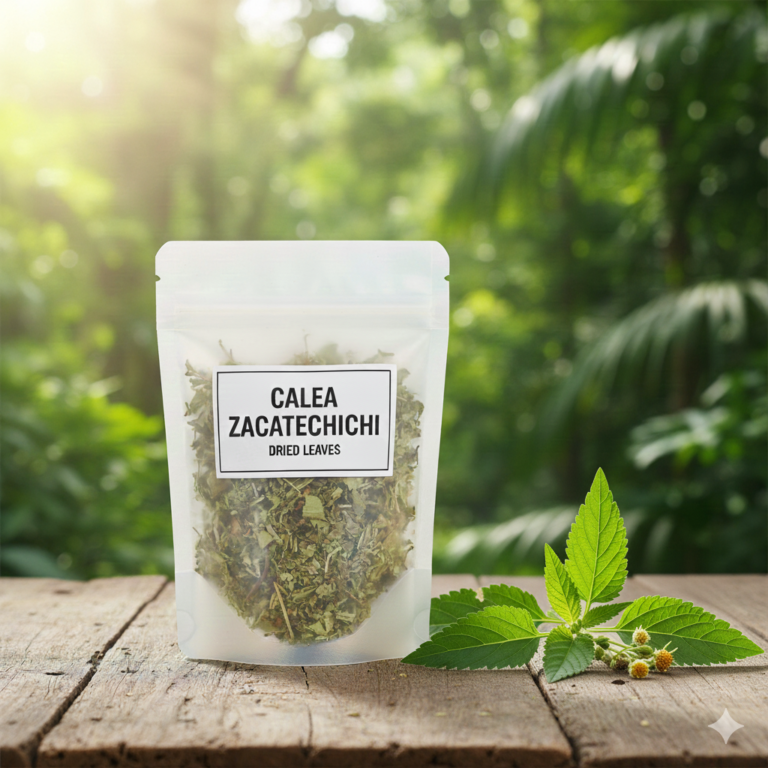 "Calea Zacatechichi: Sacred Herb for Lucid and Prophetic Dreams"